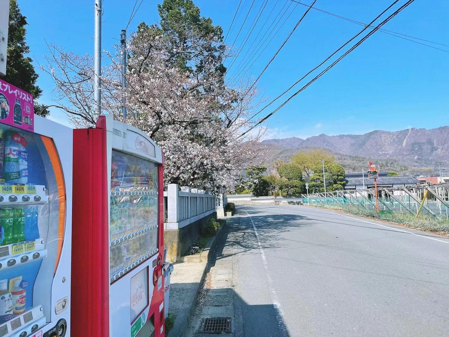 日本大学到底是看中留学考试还是校内考呢