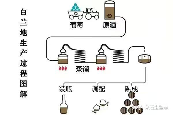 世界六大蒸馏酒之白兰地