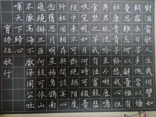 曹操短歌行钢笔字笔友习作欣赏