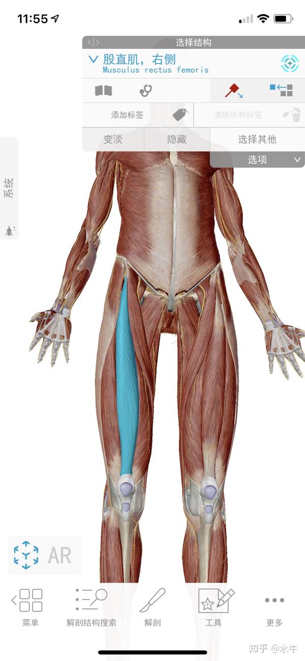 (string) 和string.valueof_狂舔肌肉帅哥肌肉_string肌肉