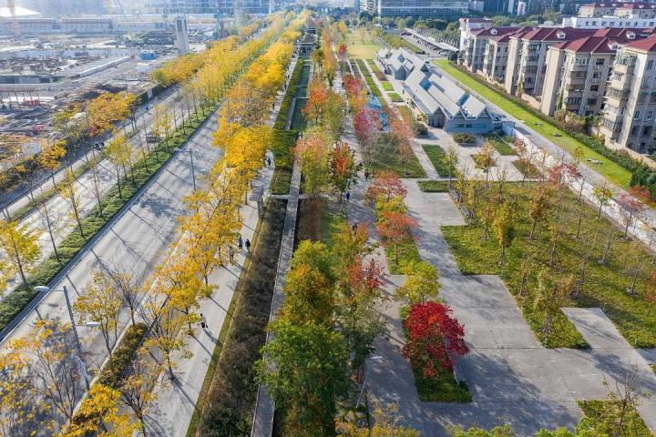 景观案例分享06sasaki上海徐汇跑道公园激活空间新功能