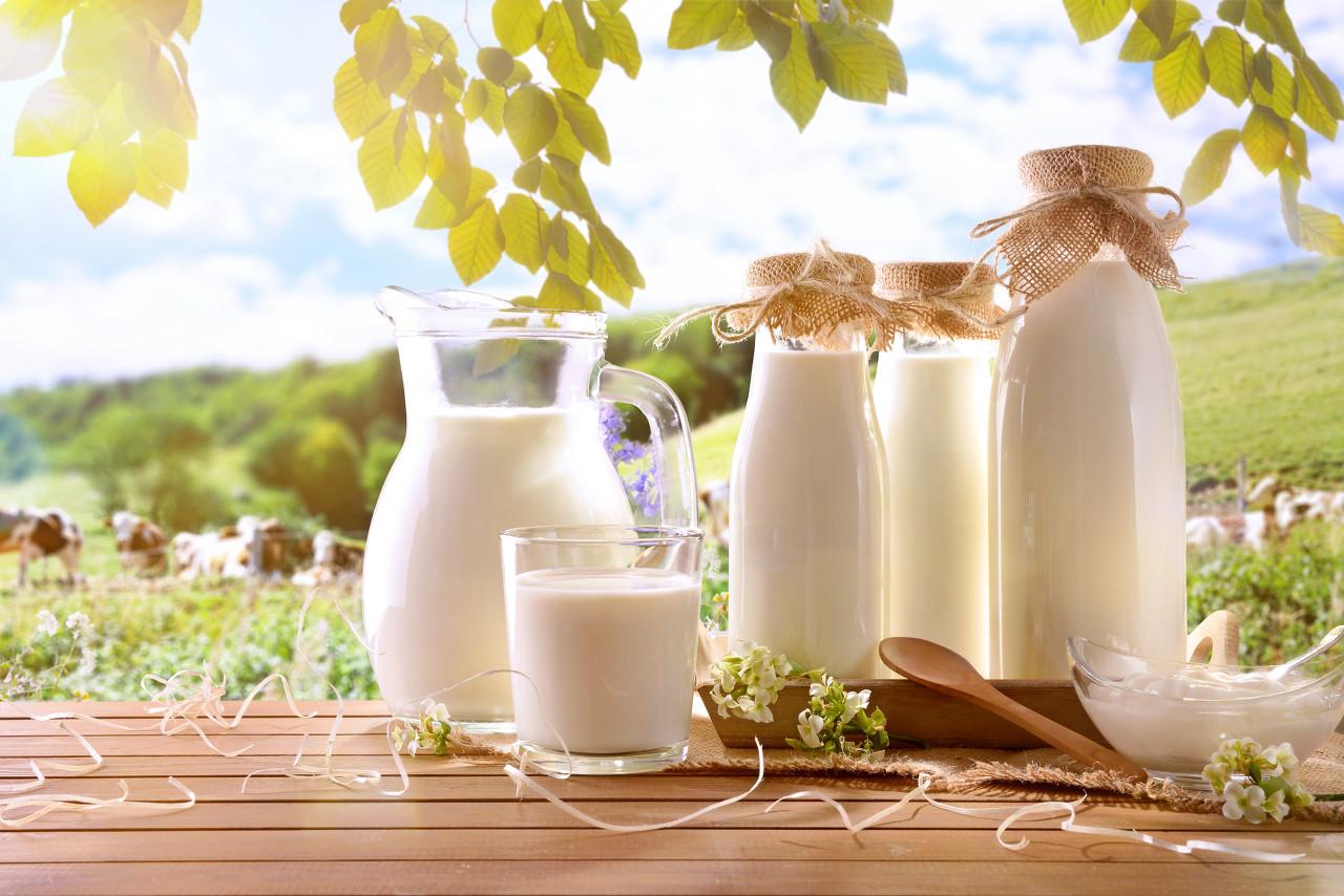 "养鸡大王"卖牛奶成功ipo,8成鲜奶靠采购,毛利率高过伊利,门店运营