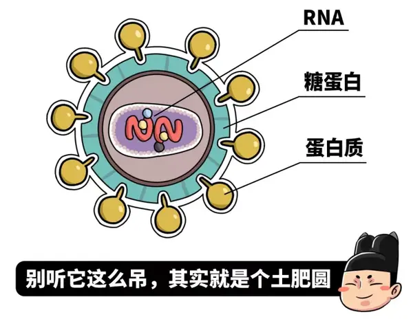 其实有很多人误会了艾滋病.