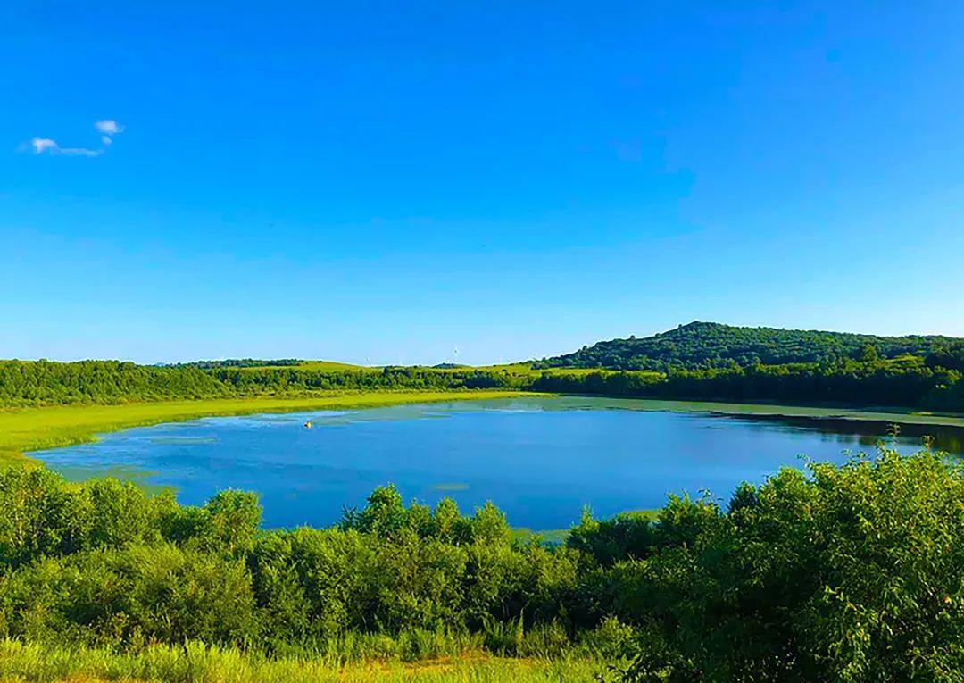 这个夏天,我们在御道口草原森林风景区相约吧