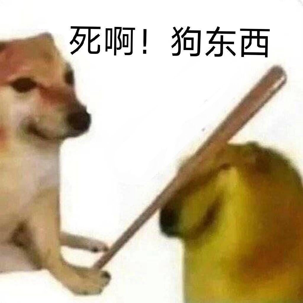 沙雕到让人忍不住笑出声的文案