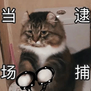 新表情100张沙雕表情包