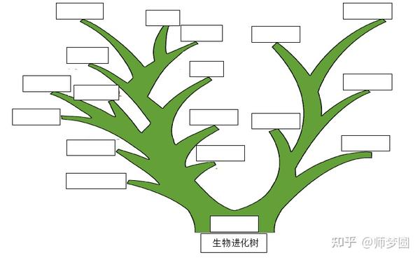 同学们从进化树种能看出生物进化的趋势吗?