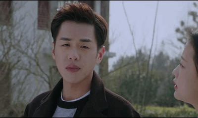 演技还是占比较大的分量吧 比如张若昀 忠犬军阀张显宗