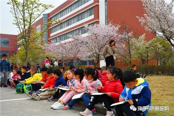 可以直升这个优秀的初中学校,是大家对紫竹小学趋之若鹜的