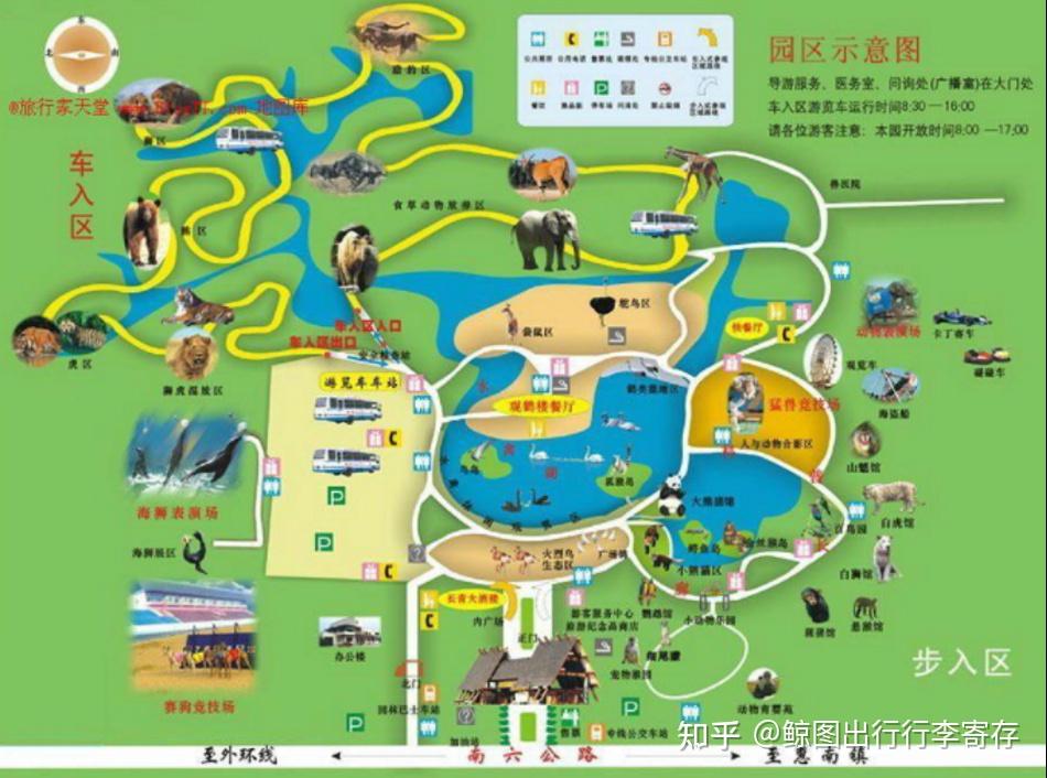 上海野生动物园游玩攻略