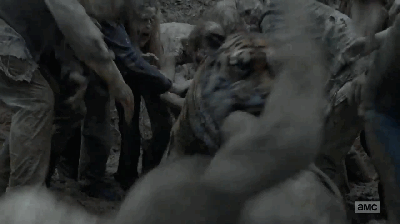 如何评价《行尸走肉》第八季第四集 s08e04?