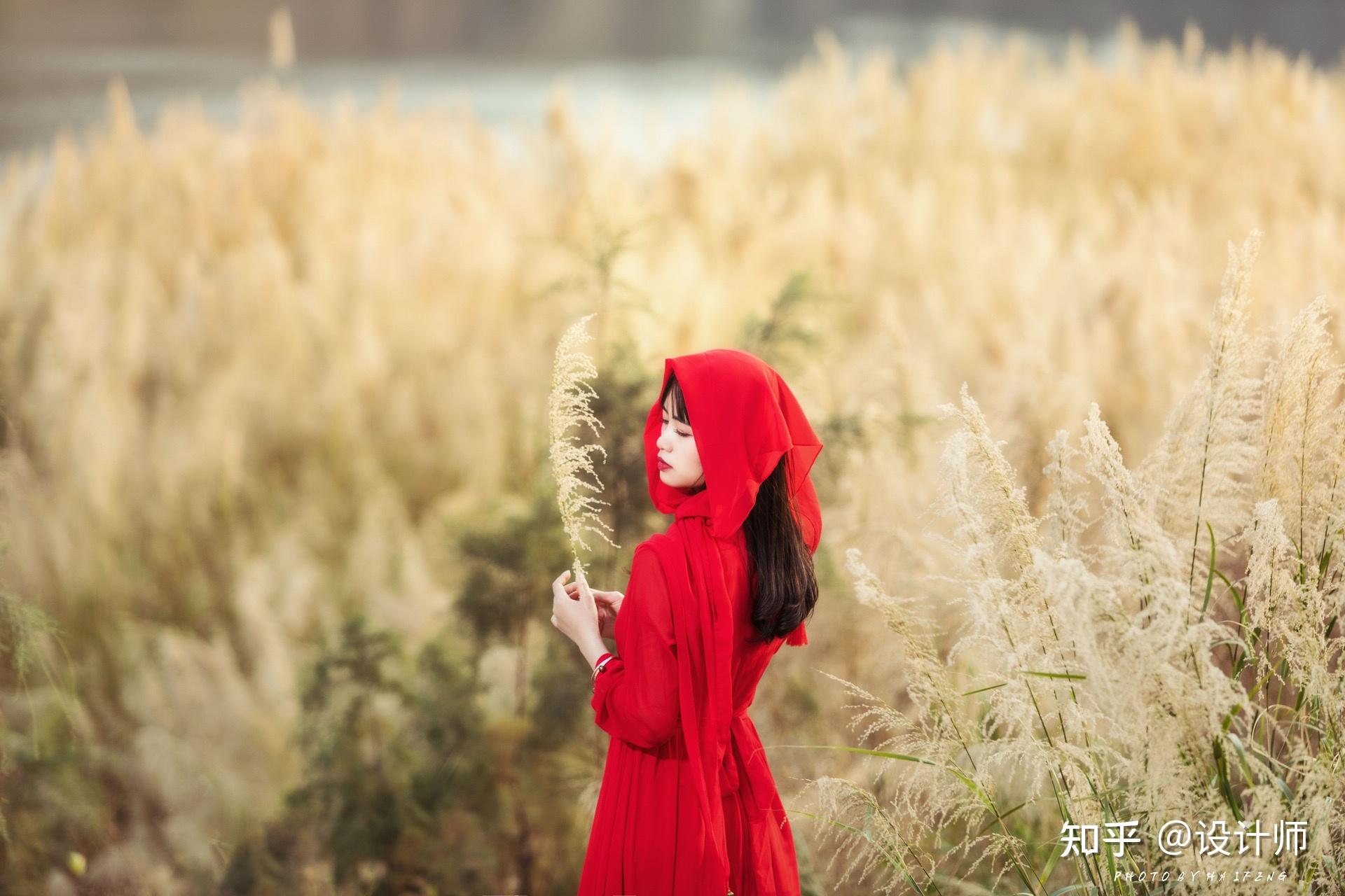 芦苇荡里拍人像,把握6个拍摄要点,拍出唯美,好看的照片