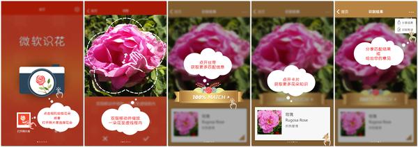 不用识别人脸的贷款app_看图识花_微软识花app