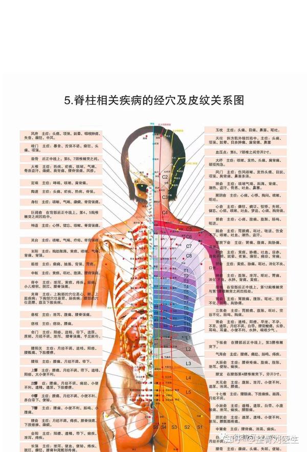 上面这张图是脊柱与很多疾病的关系.