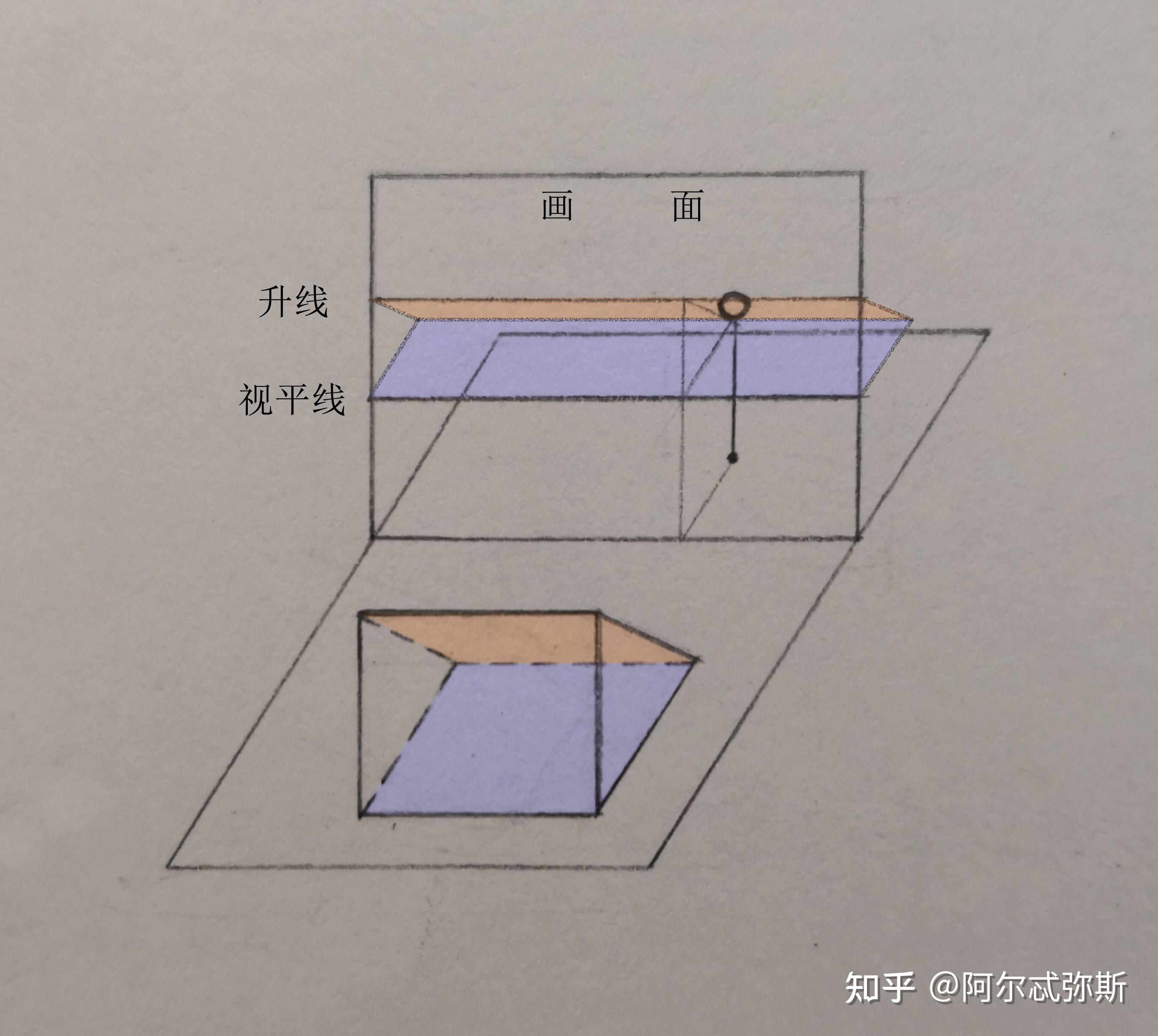 透视学