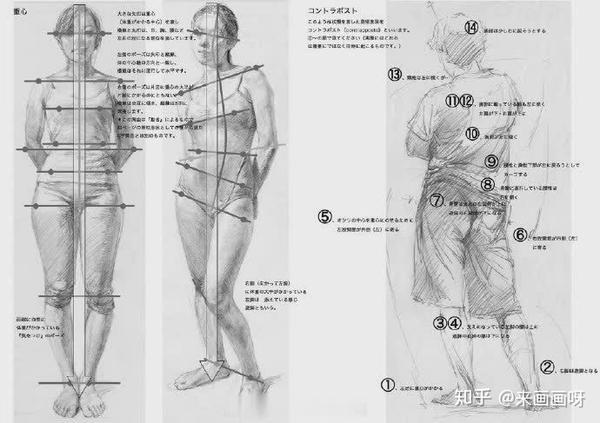 超强速写干货讲解,人体体块讲解,不看后悔