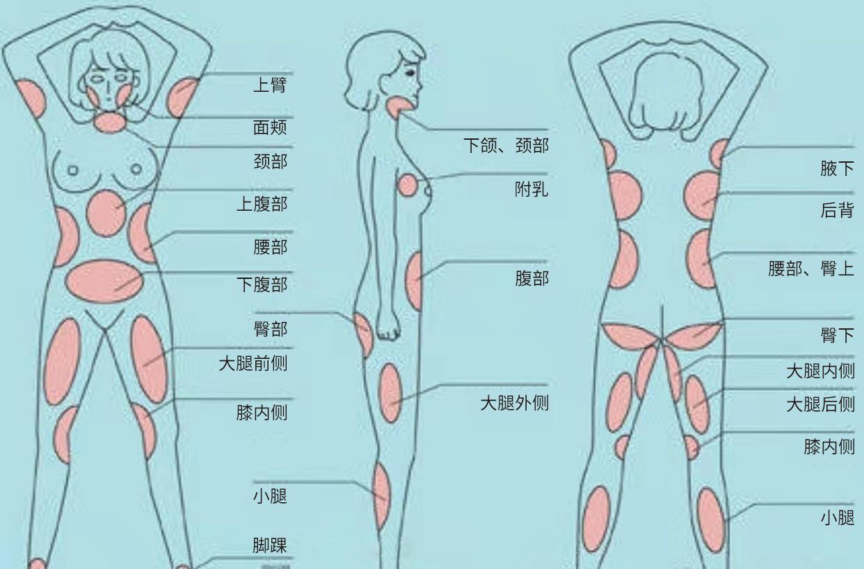 首先腰腹和大腿的生理结构就是脂肪分布量最多的部位,其次女生特殊的