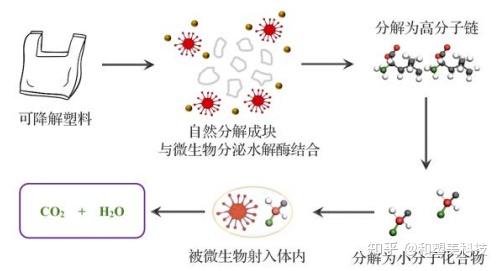 可降解塑料的降解机理生物降解与光降解篇