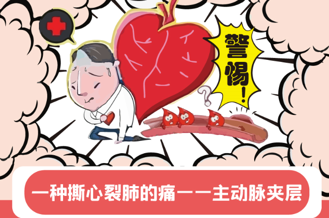 主动脉夹层——一种撕心裂肺的痛(华西医院胡佳漫画科普系列)