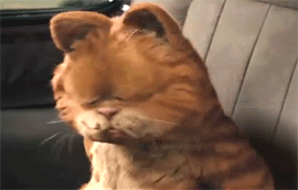 情牵医护全飞后的她们正在享受自己的无镜人生