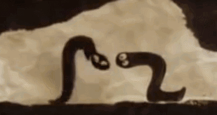 从两条蚯蚓身上看人生——《世界的另一端》