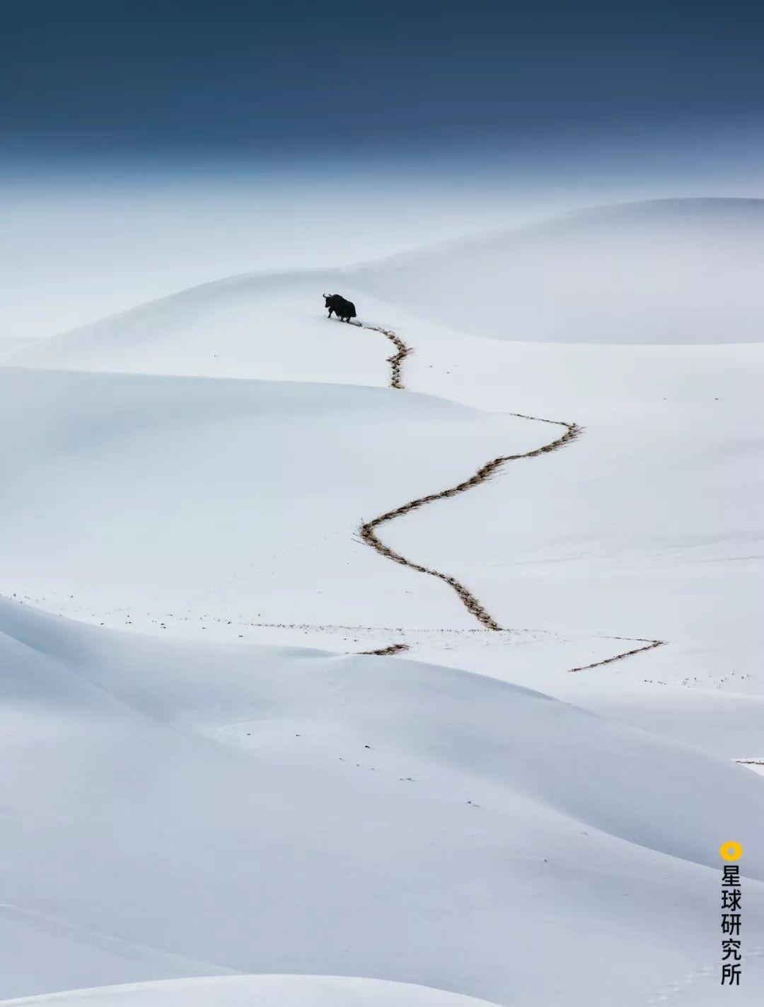 中国哪里的雪景好看