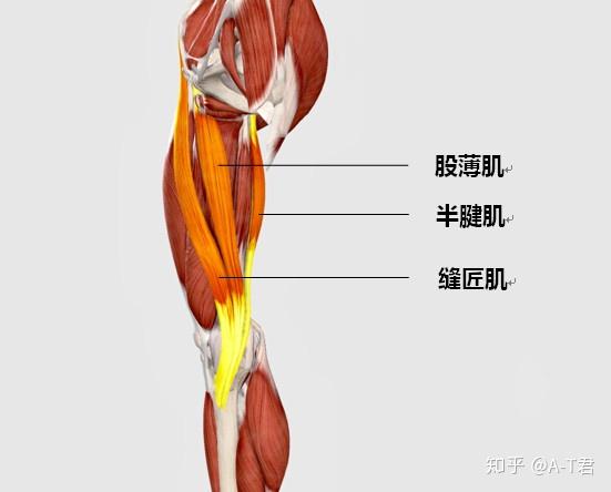 这是股四头肌贴法,主要用于稳定髌骨,促进股四头肌发力 贴的过程要