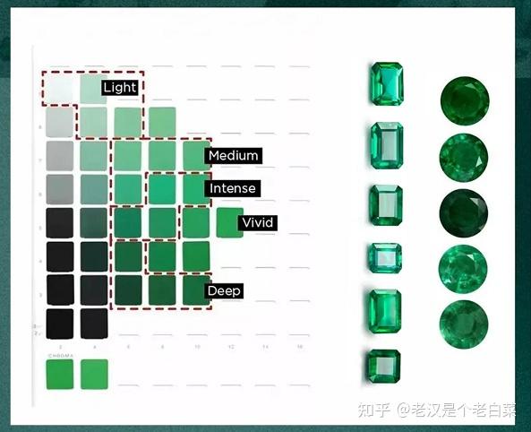 vivid green (艳绿色)       verdant green(沃顿绿)为 vivid green