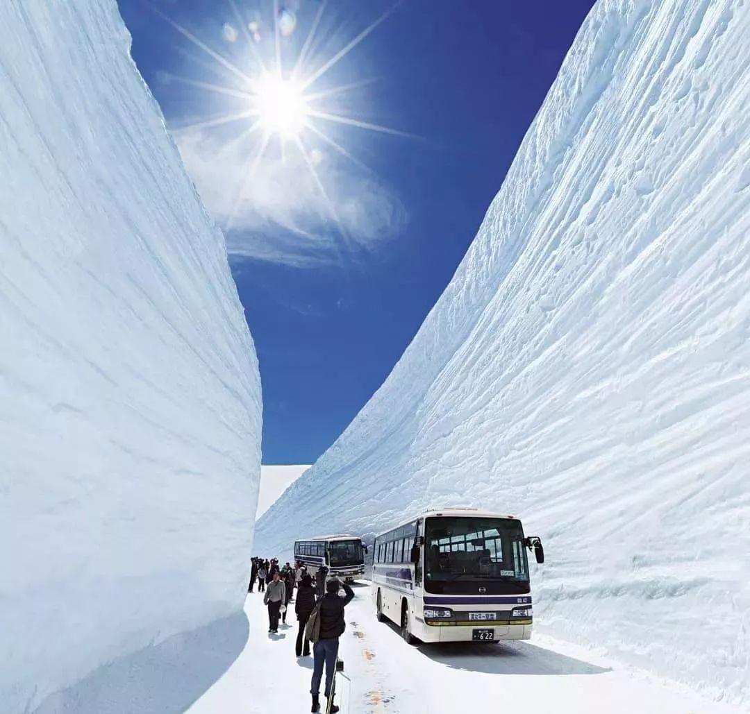 日本立山黑部的雪之大谷只有两个月期限 知乎