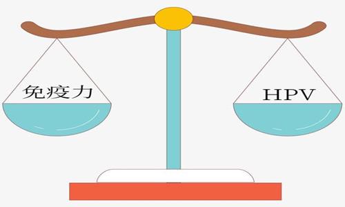 hpv与免疫力就是一个天平的两端看谁更强大但免疫力不仅仅是吃好睡好