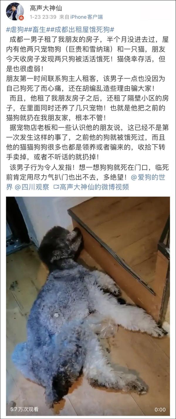男网红出租屋内活活饿死宠物:不尊重生命的人有多可怕