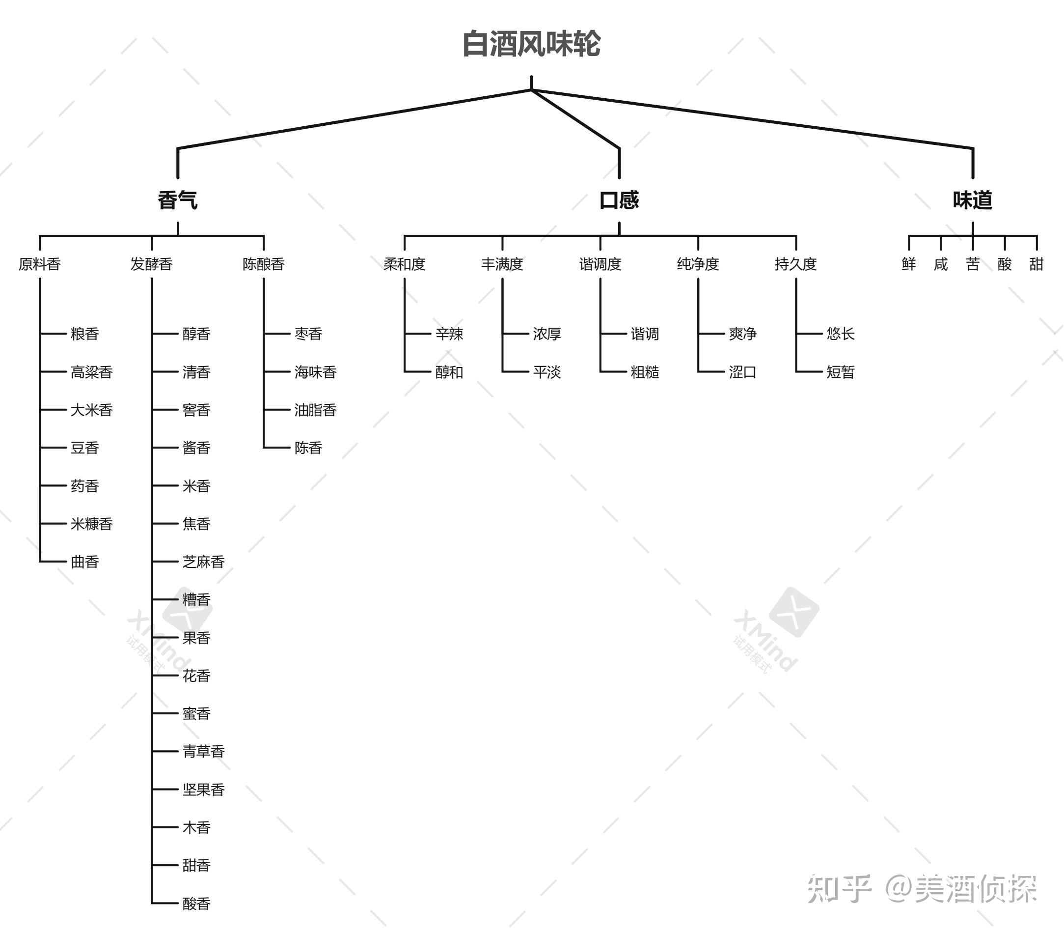 白酒也有风味轮