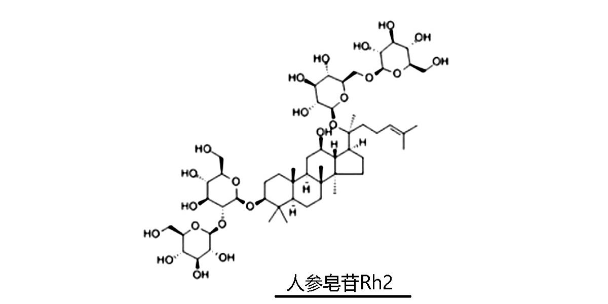 稀有人参皂苷对炎症的有效治疗