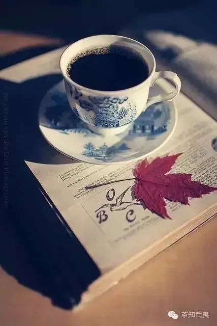 没来得及读的书 配上一杯武夷岩茶 让自己做一个秋天里安静的美女子