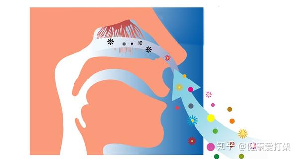 我们是怎么闻到气味的嗅觉失灵又该如何检测呢