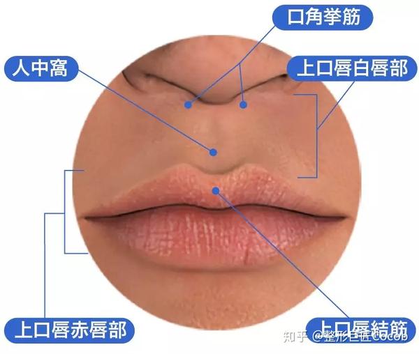 六小龄童为什么能把孙大圣演得活灵活现,正因为他唇薄 没有人中窝啊