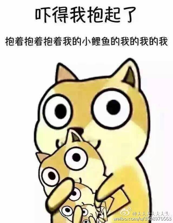 吃鲸!(Д)ノ