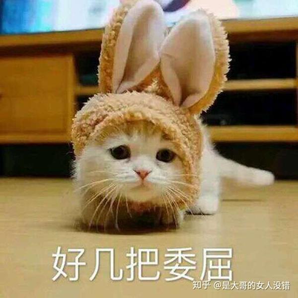有什么适用于和老公/男票撒娇的可爱表情包?