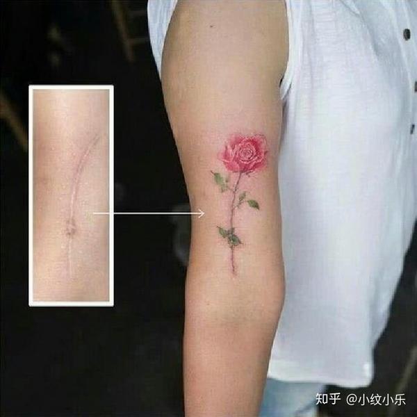 一枝花,全靠原来的伤口支撑着