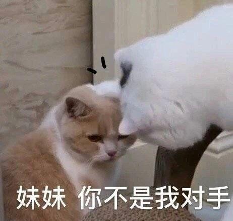 搞笑表情包