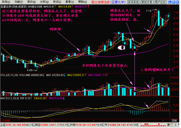 股票技术系统学习-老鸭头