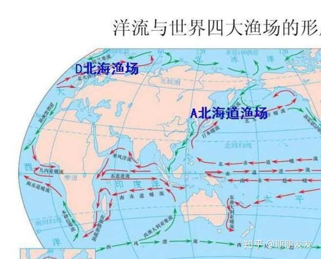 世界四大渔场纽芬兰渔场已成为历史