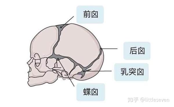 囟门是怎么形成的 新生儿有 6 个囟门,如下图,分别是脑袋最前面的前
