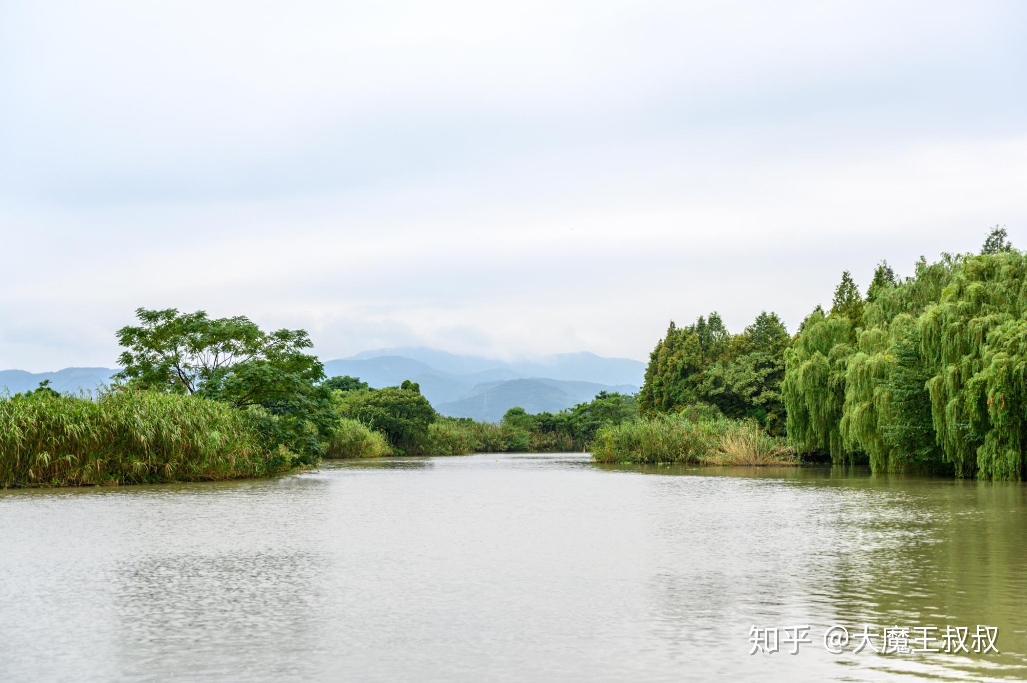 最美湿地下渚湖 知乎