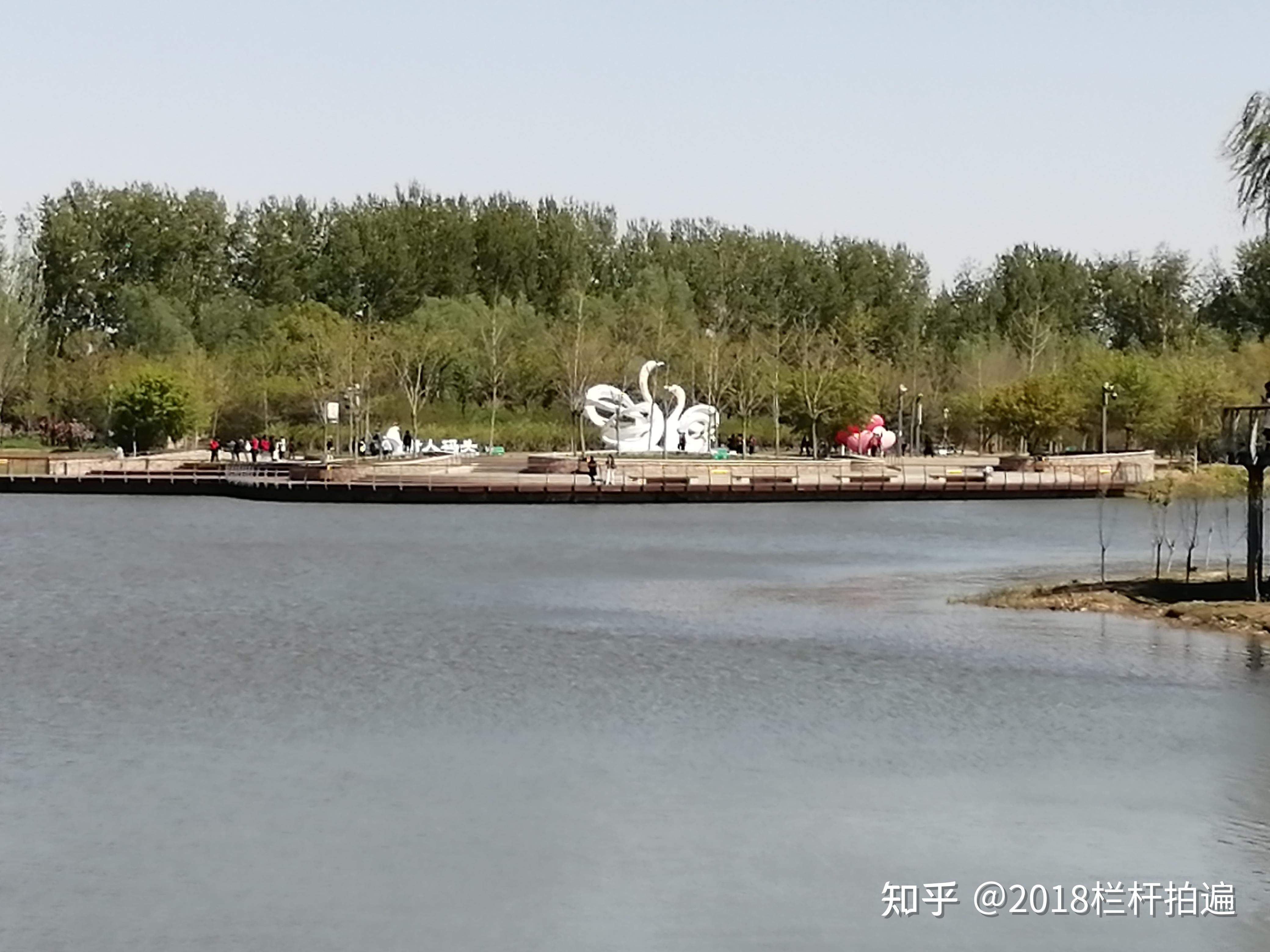 北京东郊湿地公园