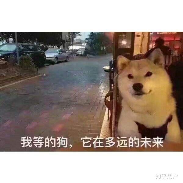 2019情人节怎么过?
