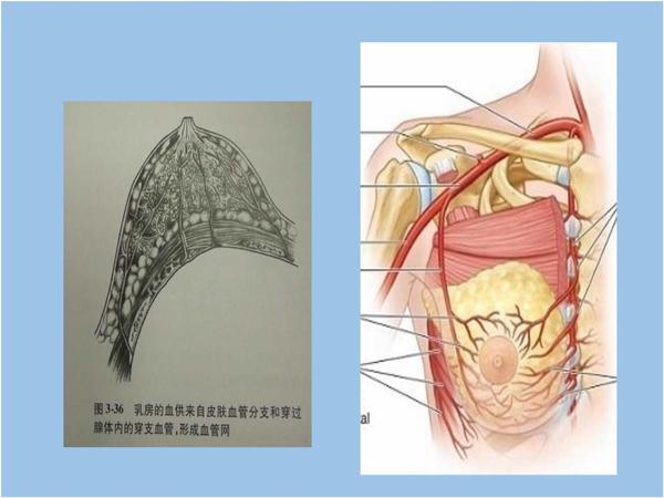 乳腺手术后:乳头再造是怎么做的?