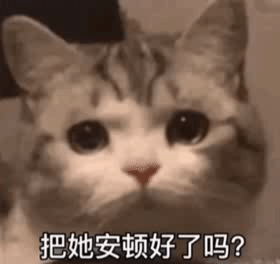 表情包 - 知乎