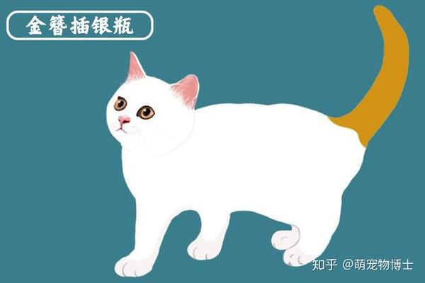 中华名猫大全——金簪插银瓶——古代名猫花名册