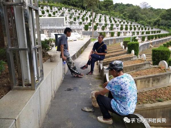 麻栗坡烈士陵园里,这些背负着所有人希望的小草